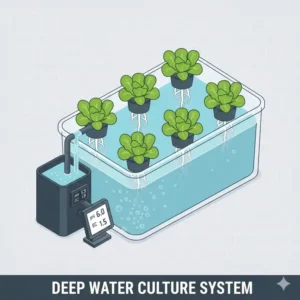 Illustration des Deep Water Culture (DWC) Systems, Teil des bestes hydroponik system 2026.