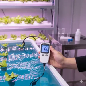 Nahaufnahme eines digitalen pH-Messgeräts, das zur Durchführung eines indoor hydroponik system test in die Nährlösung eingetaucht wird.