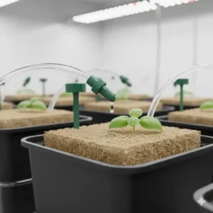 Detailansicht der Tropferventile aus dem tropfbewässerung hydroponik test.