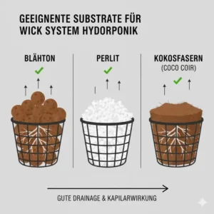 Die Wahl des richtigen Substrats für einen erfolgreichen wick system hydroponik test.