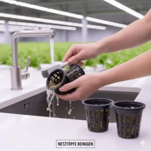 Wiederverwendbarkeit und einfache Reinigung der Körbe nach dem hydroponik netztöpfe test.