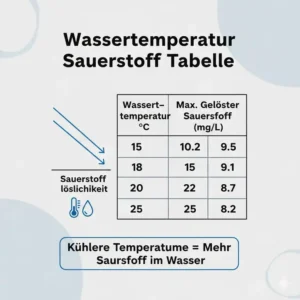 Infografik über den Einfluss der Wassertemperatur im hydroponik sauerstoffsystem test.