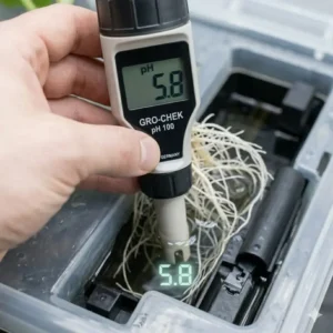 Messung des pH-Wertes während des hydroponischen Gurken Test