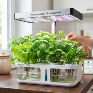 An infographic comparing the low energy consumption of a hydroponik LED stromsparend setup against traditional grow lights.