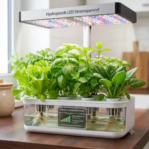 An illustration of different plant growth stages under the consistent light of a hydroponik LED stromsparend device.